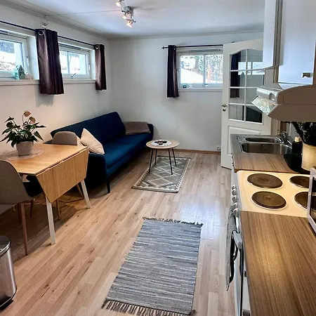 Enrumslaegenhet, Studio, I Centrala شقة *