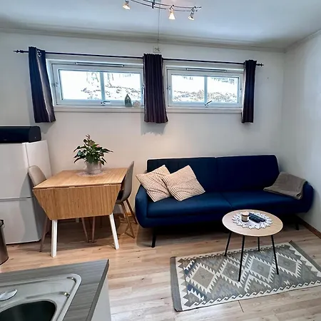 Enrumslaegenhet, Studio, I Centrala ترومسو